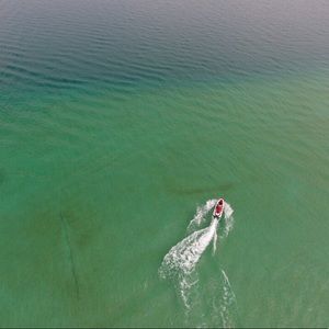 Meet your Posher, Riley